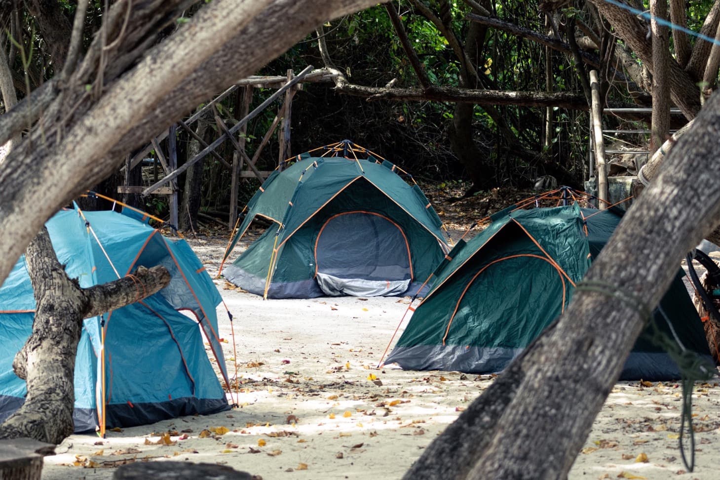 Explore Apo Reef's Coastal Wonders