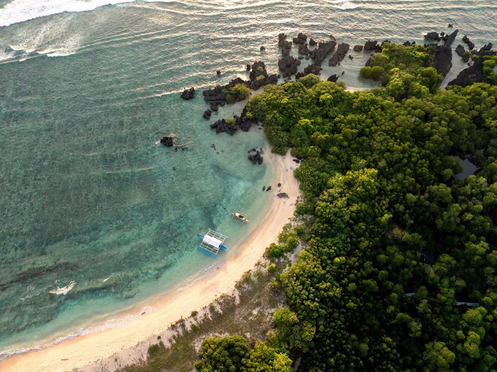 Mangrove and Beach Forests