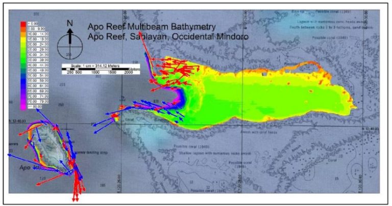 About - Apo Reef Natural Park